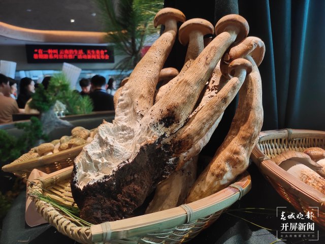 有一種叫云南的生活｜暑期旅游來云南，享“天生美食”（開屏新聞記者 孫江葒 攝）