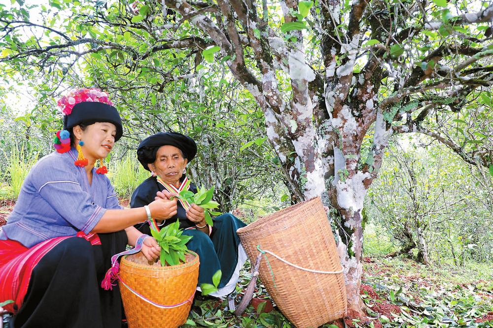 企業(yè)微信截圖_16887843831577