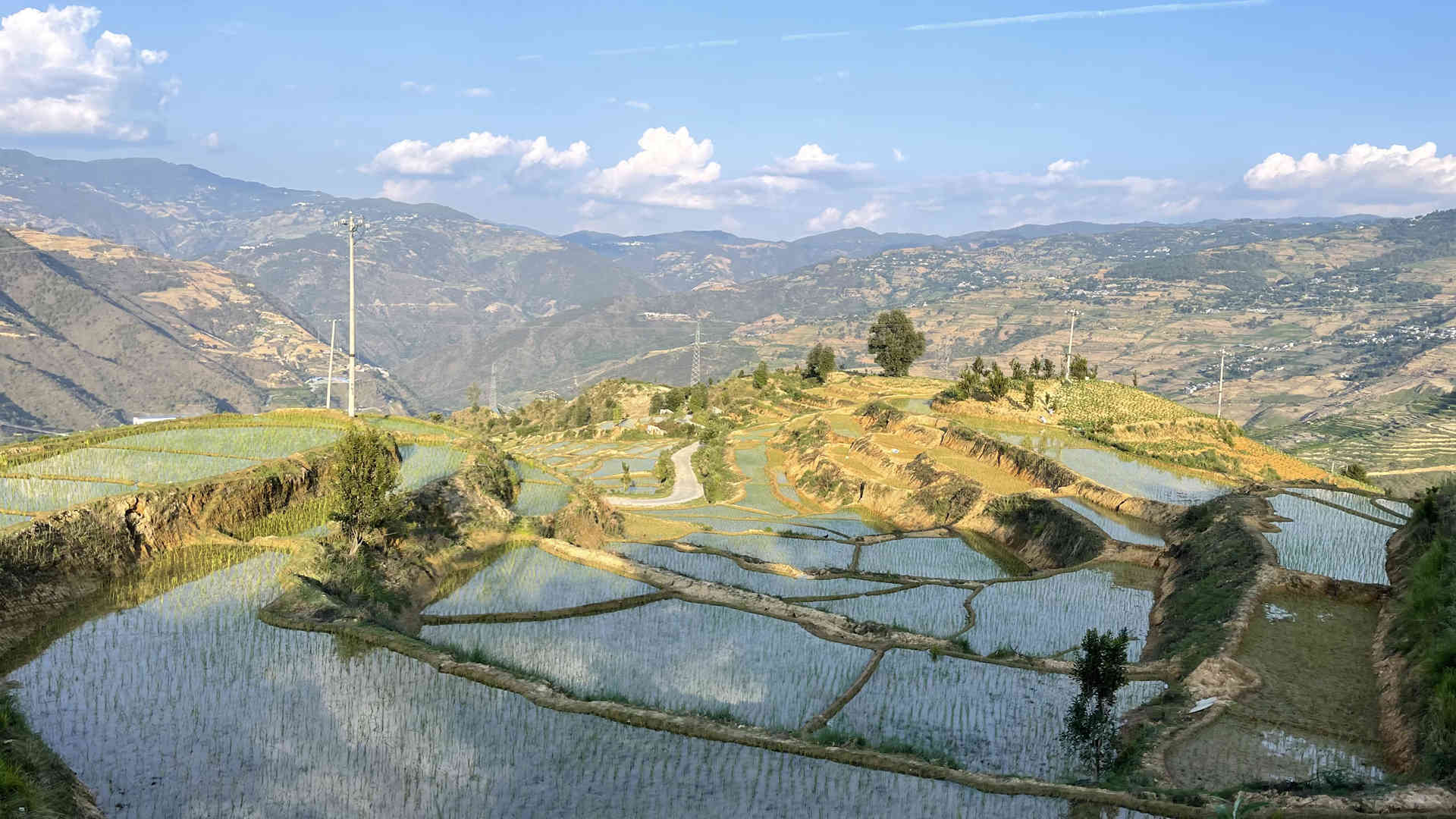 農(nóng)田披綠裝 “改”出致富“米糧倉”