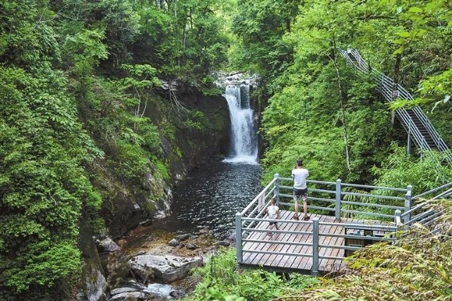 來云南度個(gè)清涼假日