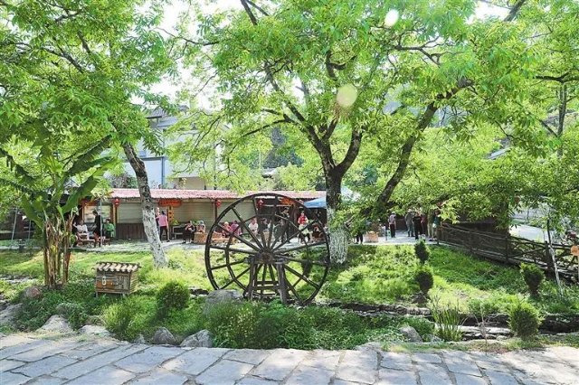 來云南度個(gè)清涼假日