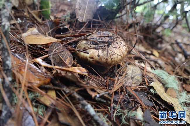 20230708f13e6105b00b463e9c8a78b246a41148_20230708c92b98496dd44fdb9647e90d4118b516 20230708f13e6105b00b463e9c8a78b246a41148_20230708c92b98496dd44fdb9647e90d4118b516