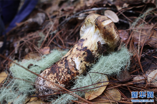 20230708f13e6105b00b463e9c8a78b246a41148_20230708fe6062a288e54c6290d29c22bbaedeff 20230708f13e6105b00b463e9c8a78b246a41148_20230708fe6062a288e54c6290d29c22bbaedeff