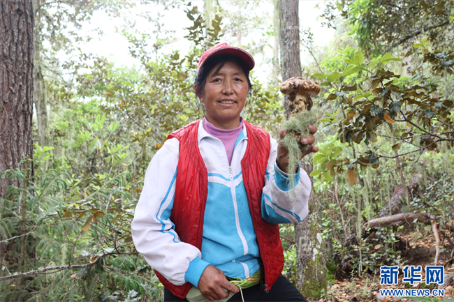 20230708f13e6105b00b463e9c8a78b246a41148_20230708a6a46d4b247d45fcb1d4a3167680c16b 20230708f13e6105b00b463e9c8a78b246a41148_20230708a6a46d4b247d45fcb1d4a3167680c16b