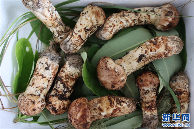 20230708f13e6105b00b463e9c8a78b246a41148_202307083e3a1bbd36df4d7586c9eb1bfbda2cd3 20230708f13e6105b00b463e9c8a78b246a41148_202307083e3a1bbd36df4d7586c9eb1bfbda2cd3