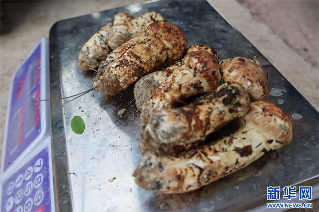 20230708f13e6105b00b463e9c8a78b246a41148_202307086a31621f9e884e7fba729ba58be9417c 20230708f13e6105b00b463e9c8a78b246a41148_202307086a31621f9e884e7fba729ba58be9417c