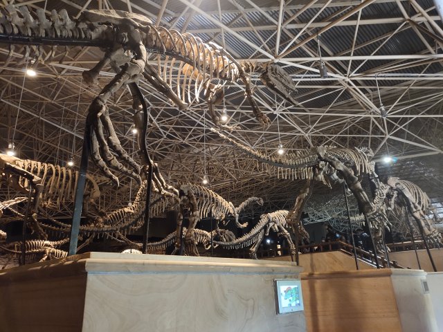 7月初 云南暑期整體訂單量同比增長248% 每天從長水機(jī)場接待有組織團(tuán)隊(duì)約2000個(gè) 楚雄恐龍谷 1.jpg