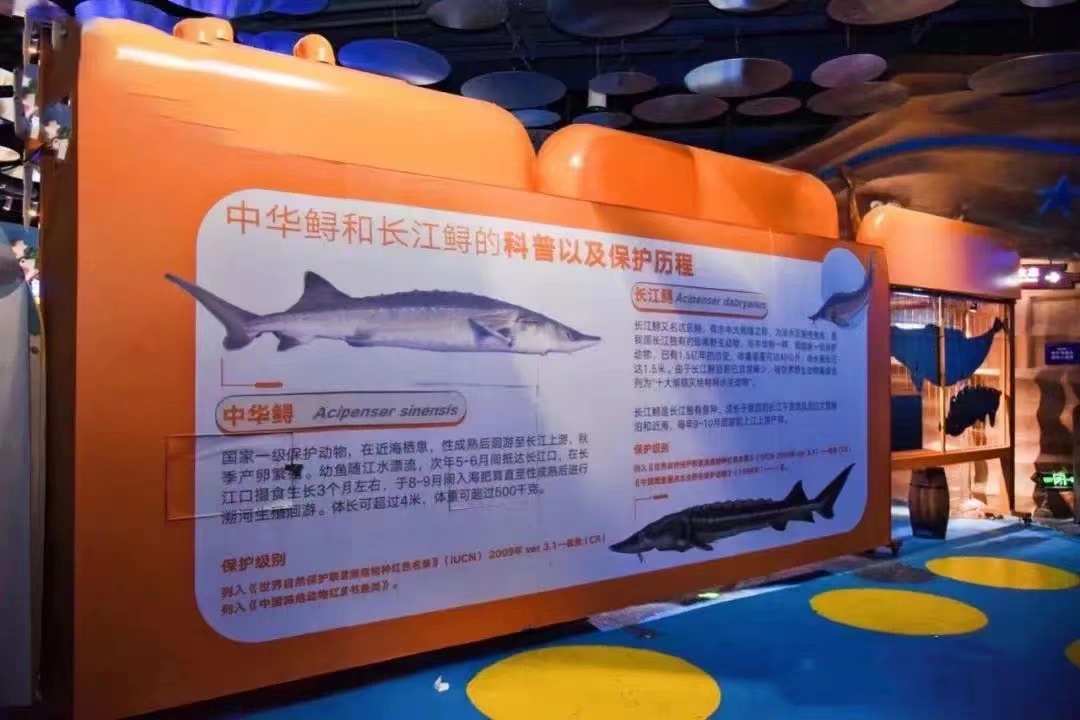 微信圖片_20230717174044 微信圖片_20230717174044