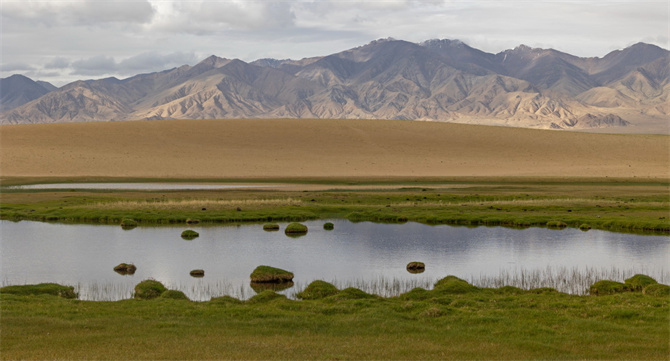 MAIN16896432072786ALKCNY4F16