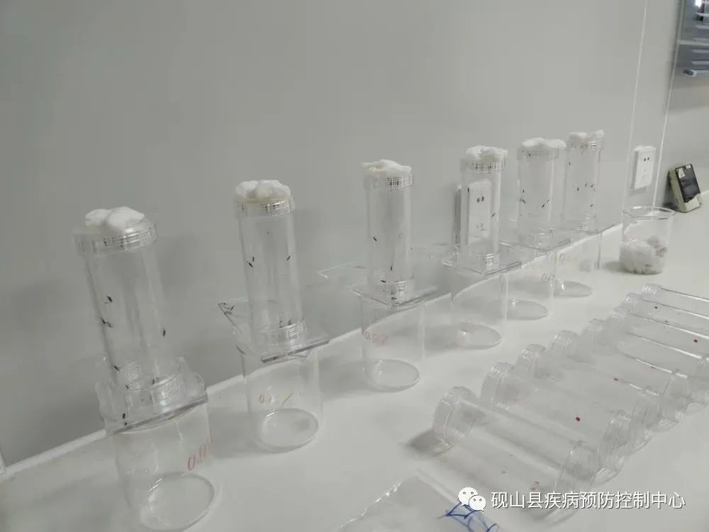 43cb58eb4ce7afc3b39842aeb277d120