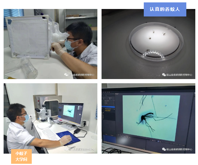 6fdd5670de1ff85277017f1a705a9435