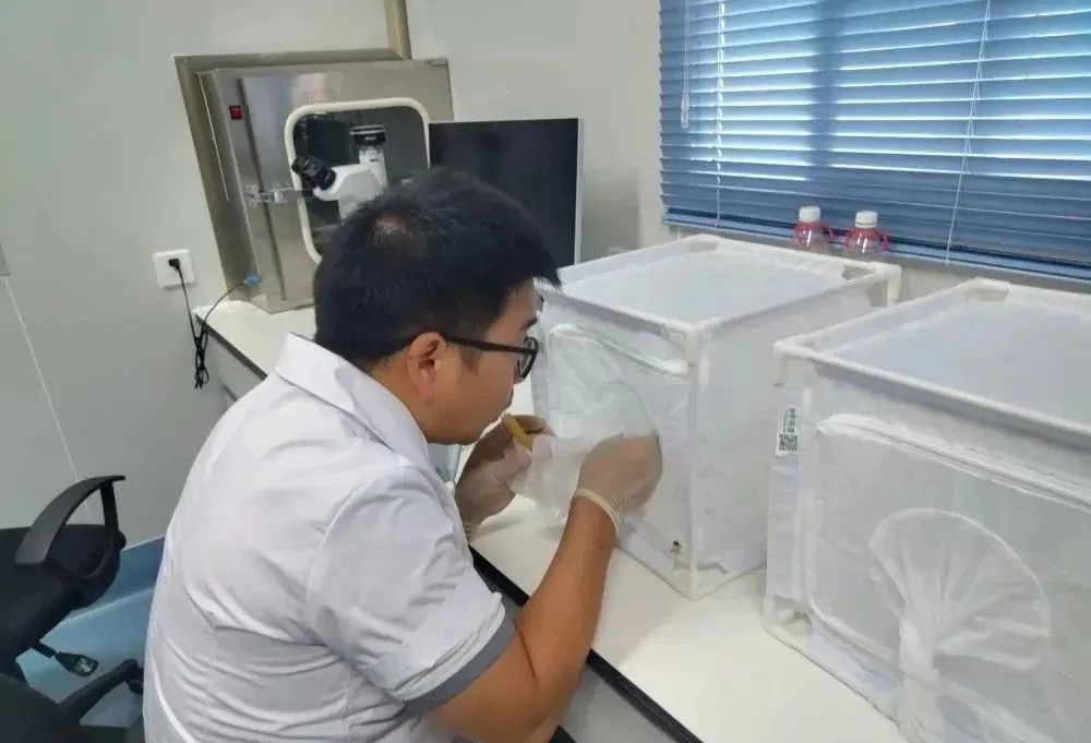 2a97d2aaa753072dc6451275a4b26b24