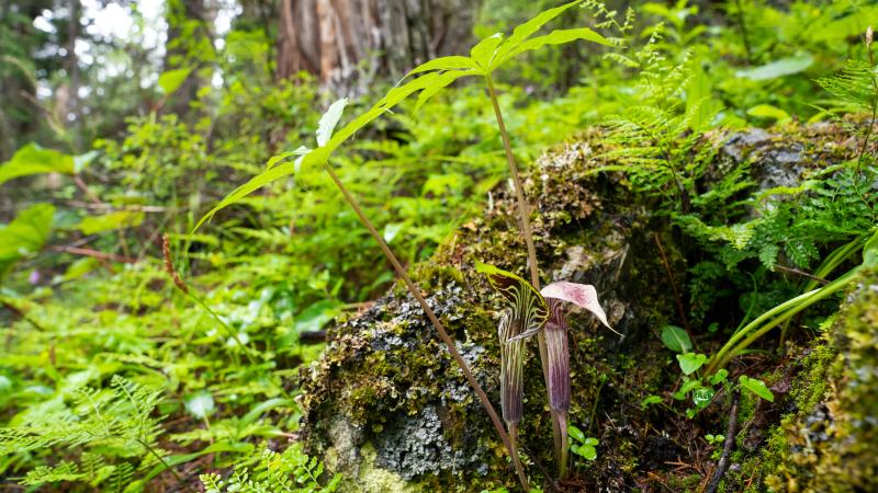 2670744a-7b40-4f5e-9700-8f27decb39ce 2670744a-7b40-4f5e-9700-8f27decb39ce