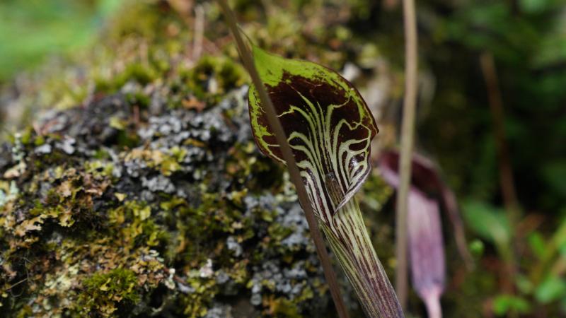 77175990-36b7-4f1f-bbb1-715c93f27129 77175990-36b7-4f1f-bbb1-715c93f27129