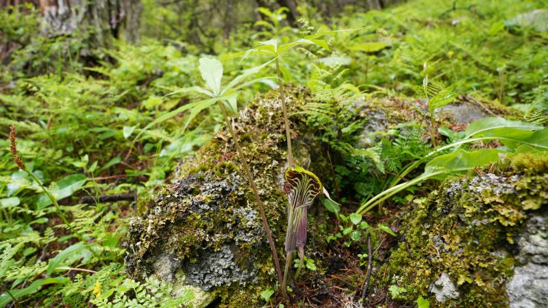 173094a5-c3ba-4571-a325-3841f56e7a4d 173094a5-c3ba-4571-a325-3841f56e7a4d