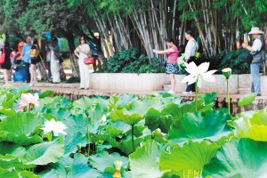 92101690580438129 92101690580438129