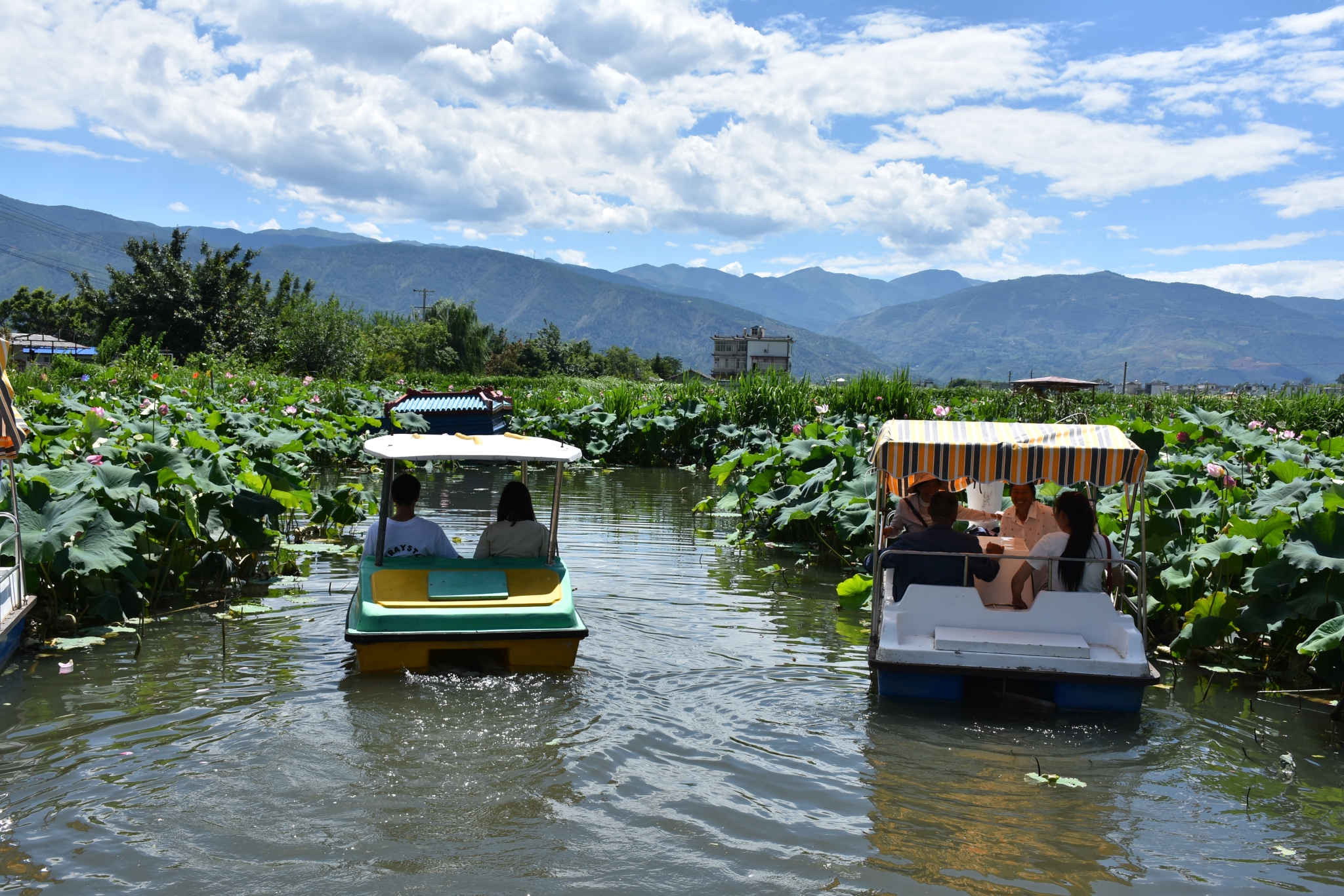 12793_05a39645-2654-4170-907c-098cb5eb99c6