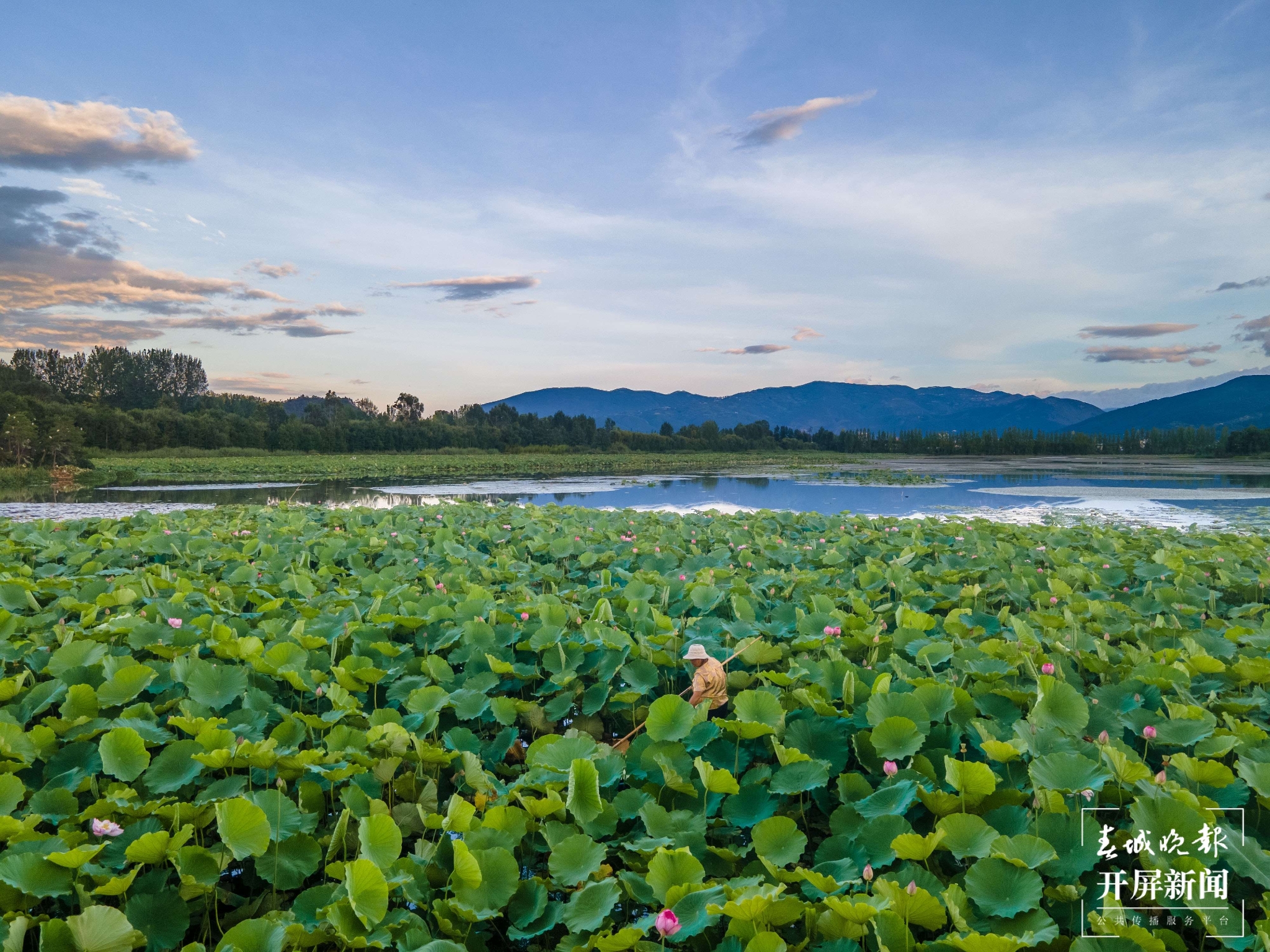 （昆滇傳內(nèi)容）有一種叫云南的生活 大理洱源茈碧湖：度夏賞荷正當時（有視頻） (18).jpg