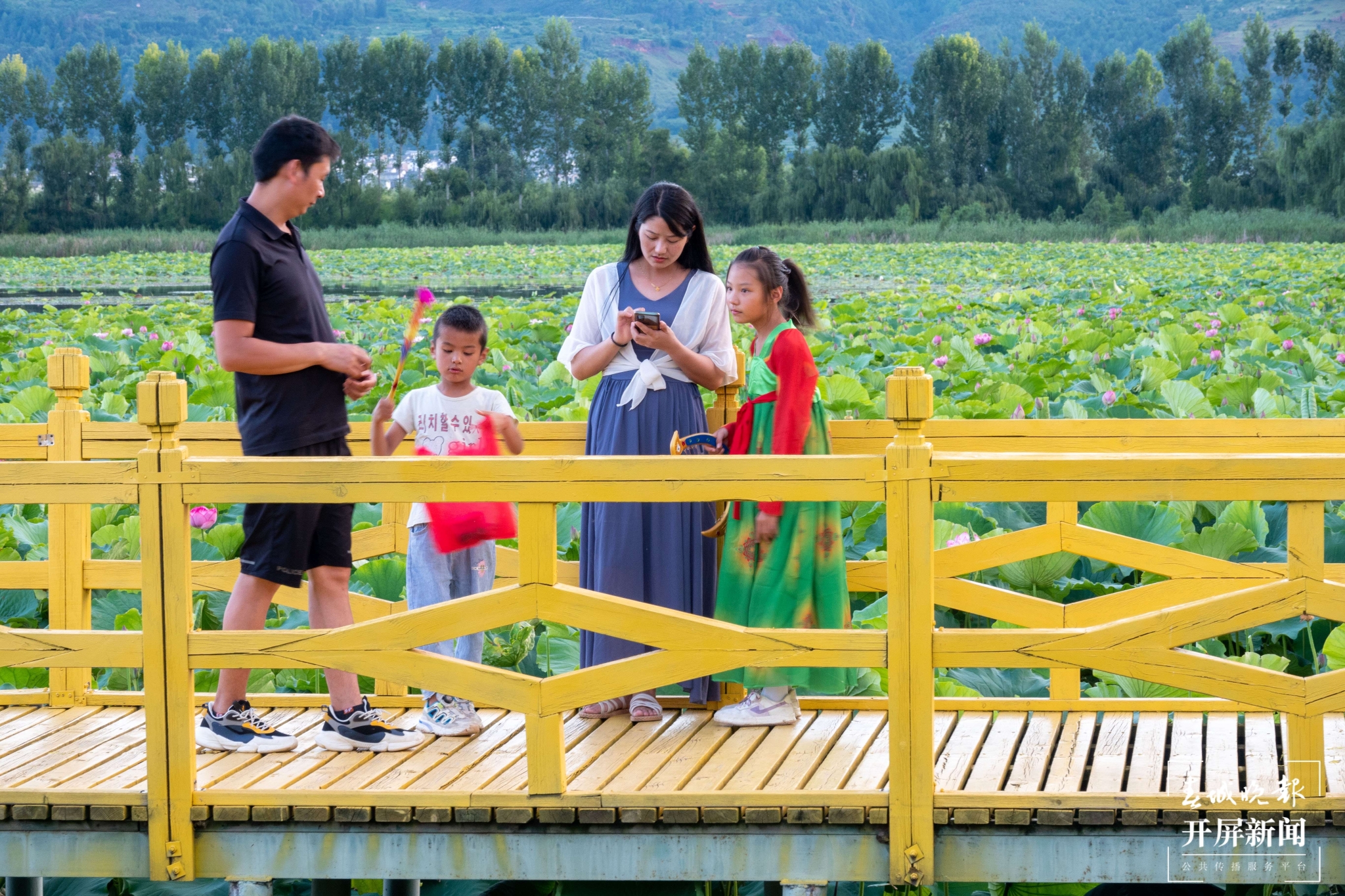 （昆滇傳內(nèi)容）有一種叫云南的生活 大理洱源茈碧湖：度夏賞荷正當時（有視頻） (14).jpg