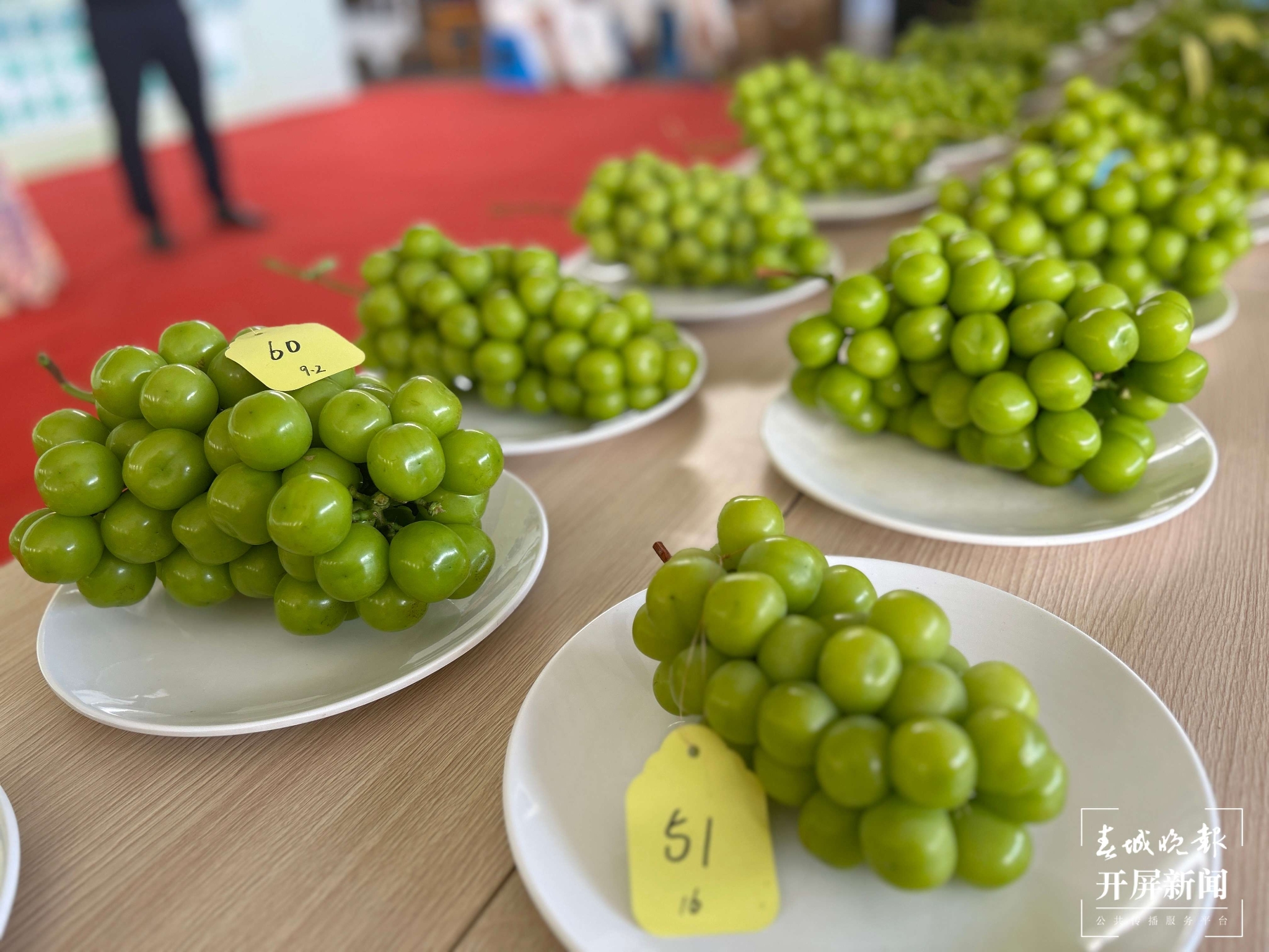 (昆滇傳內容)品評風味！大理賓川60位“葡萄種植達人”同臺PK (2).jpg