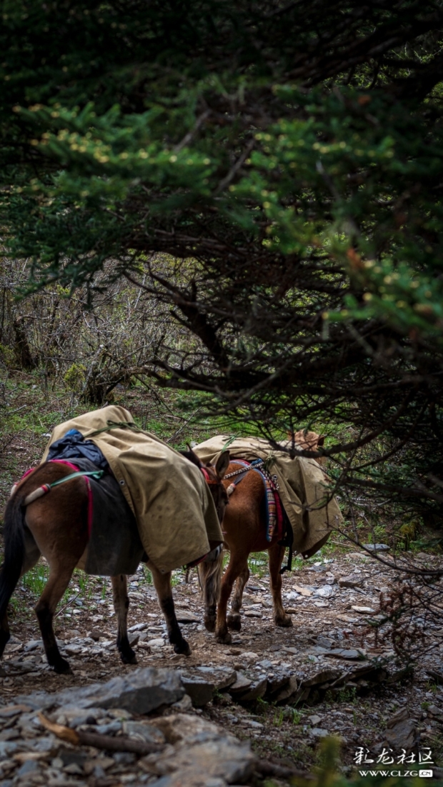 1a103d30-2bde-11ee-9e79-35470d85faf8 1a103d30-2bde-11ee-9e79-35470d85faf8