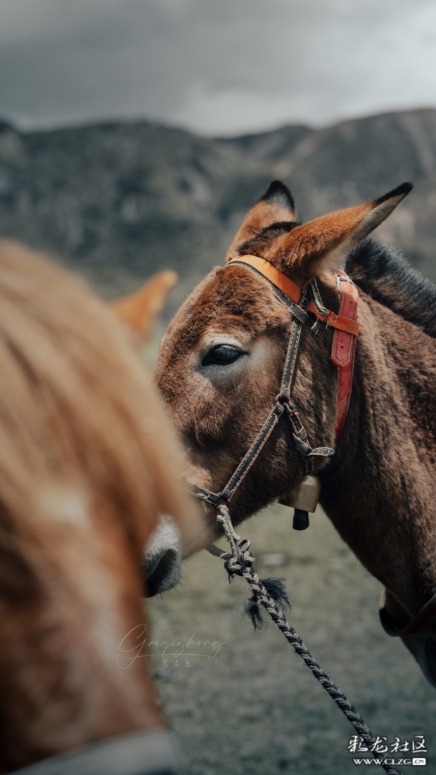 1a7392e0-2bde-11ee-a4ea-f5003e2686fe 1a7392e0-2bde-11ee-a4ea-f5003e2686fe