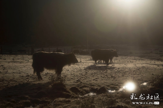 2c2cc650-2bde-11ee-a765-f7fedb25c7b1 2c2cc650-2bde-11ee-a765-f7fedb25c7b1