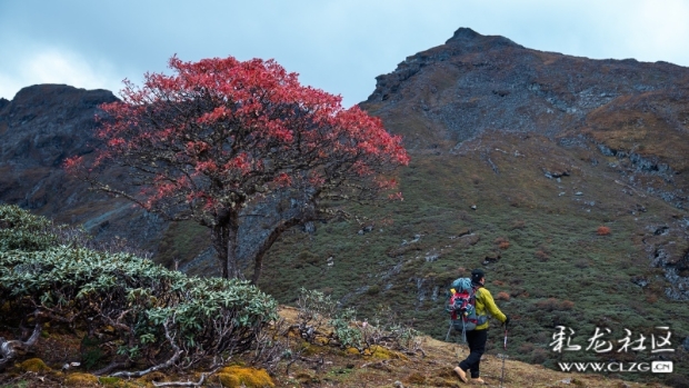 29a705d0-2bde-11ee-b433-0b77ea3f3b24 29a705d0-2bde-11ee-b433-0b77ea3f3b24