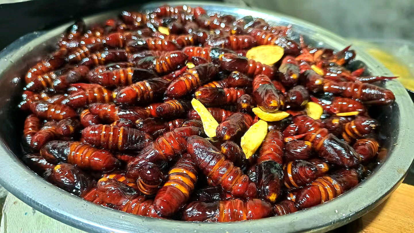 使勁搖頭的蛹兒 讓您點頭的美味