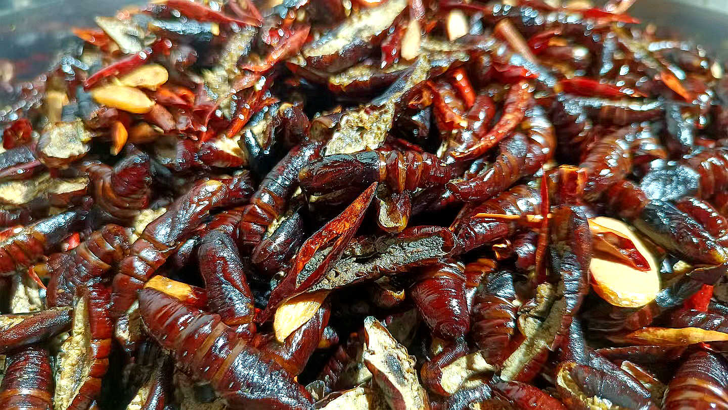 使勁搖頭的蛹兒 讓您點頭的美味