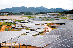 72901691520717354 72901691520717354