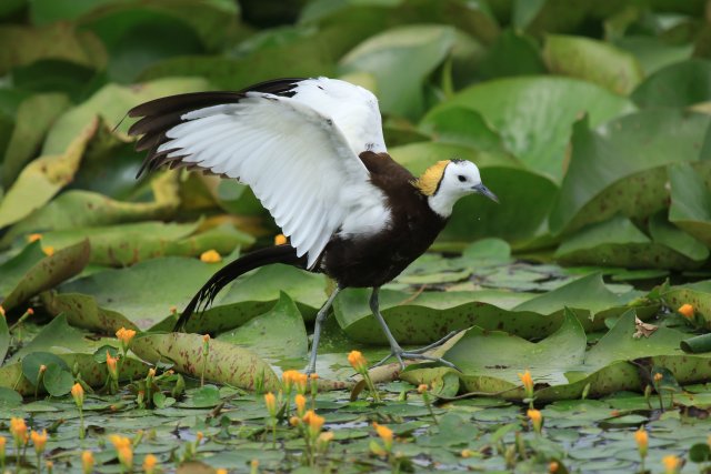 太陽很暖趙輝攝 (2).JPG