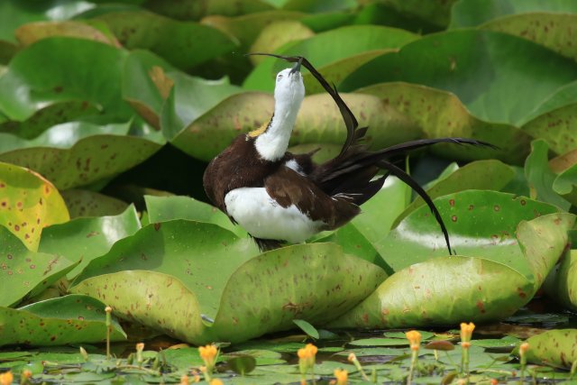 梳妝趙輝攝 (3).JPG