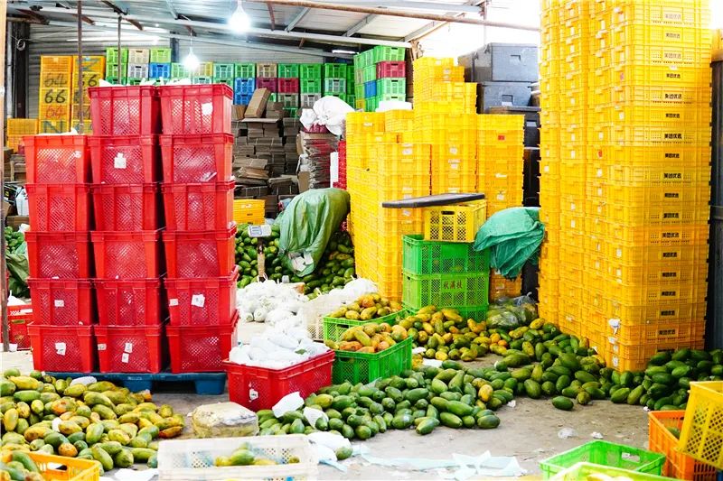 云南格道商貿(mào)有限公司水果倉(cāng)庫(kù).JPG 圖片