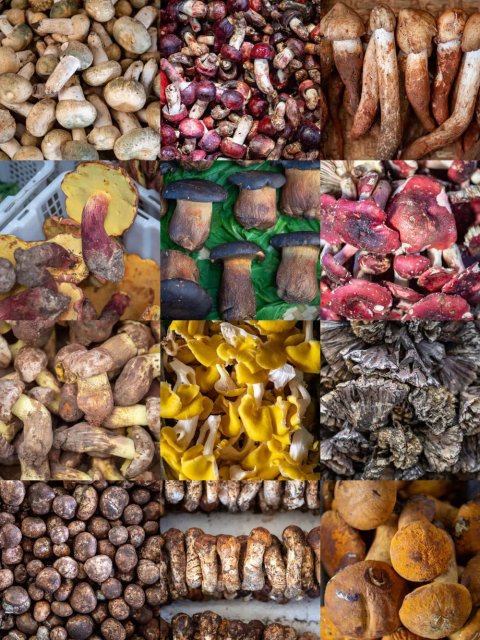 何止清涼一夏！云南暑期旅游新觀察