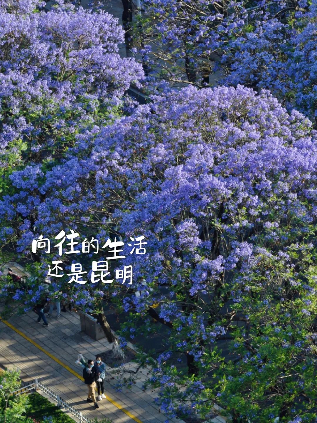 微信圖片_20230519180028.jpg 圖片