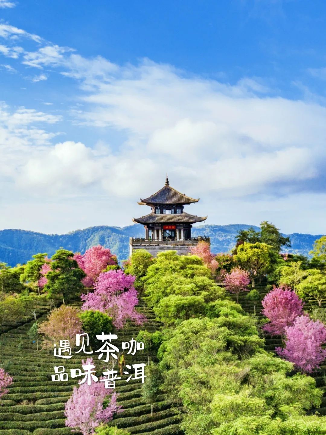 旅游_畫(huà)板 1 副本 11.jpg 圖片