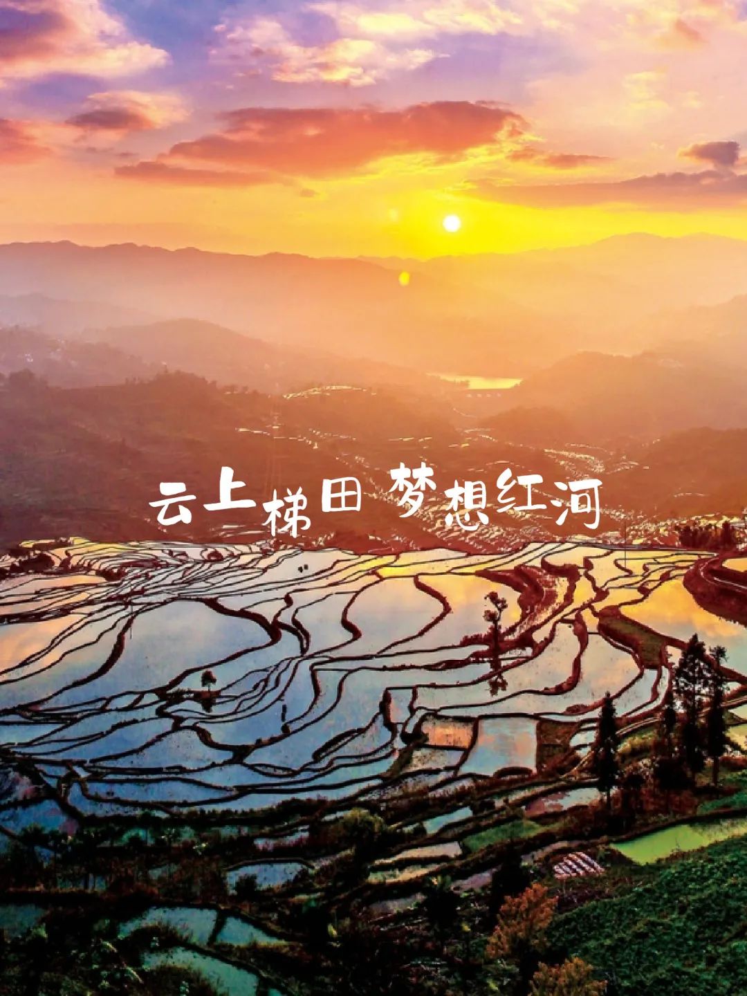 旅游_畫(huà)板 1 副本 6.jpg 圖片