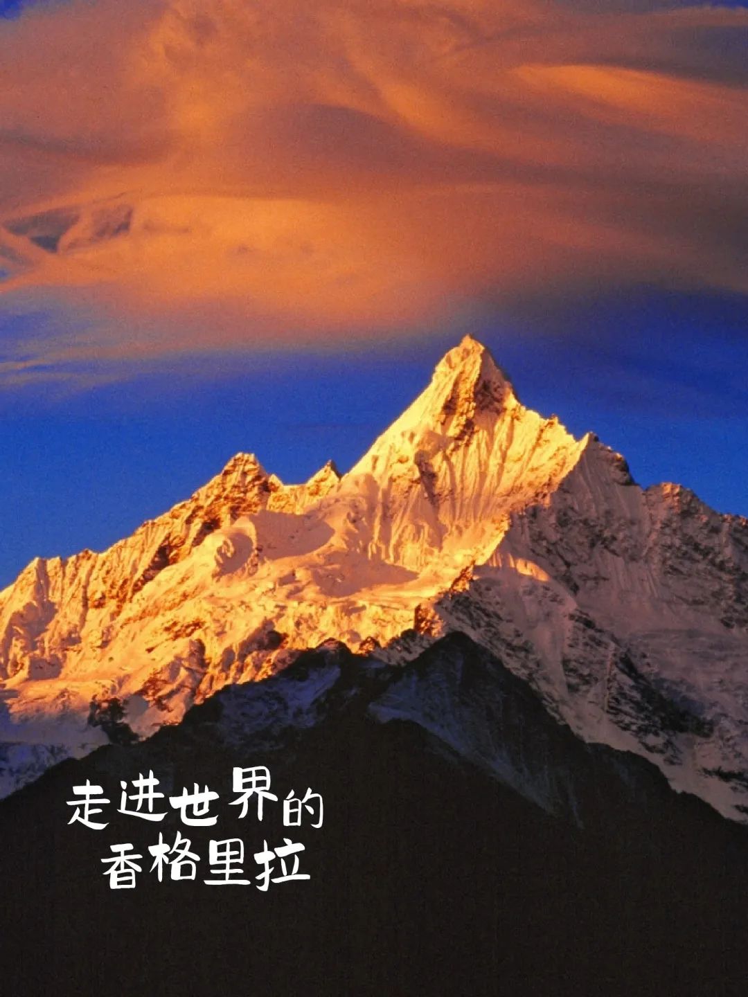 旅游_畫(huà)板 1 副本 5.jpg 圖片