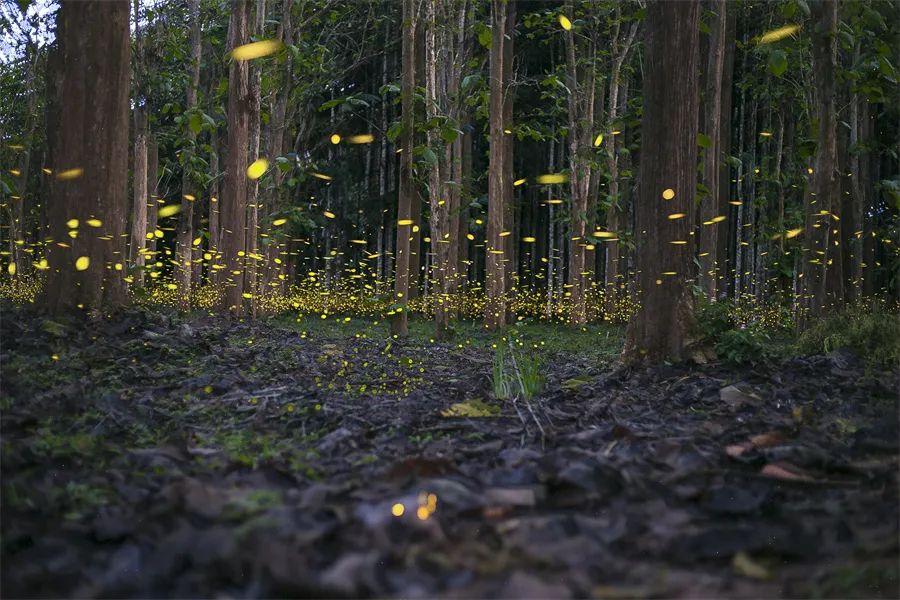 20220707072203376.jpg 圖片