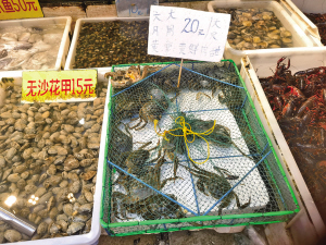 85211692029934903 85211692029934903