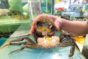 37461692029934903 37461692029934903