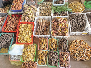 19671692029932168 19671692029932168