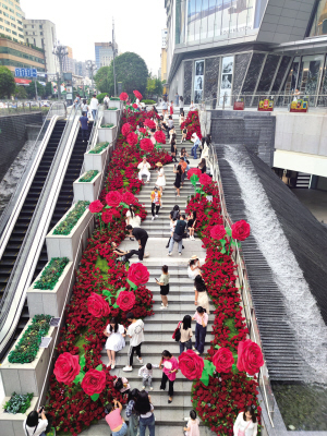 17741692116054618 17741692116054618