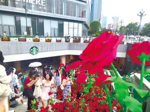 76291692116054633 76291692116054633