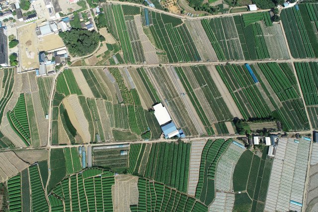 高山硒谷 (2).JPG