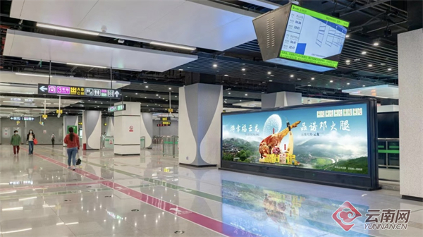 00305654349_4789f6f6 00305654349_4789f6f6