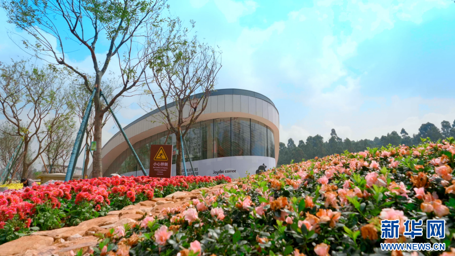 c266c14d88c44e53b5b9b3718192b1f9 c266c14d88c44e53b5b9b3718192b1f9