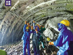 3521694015176286 3521694015176286