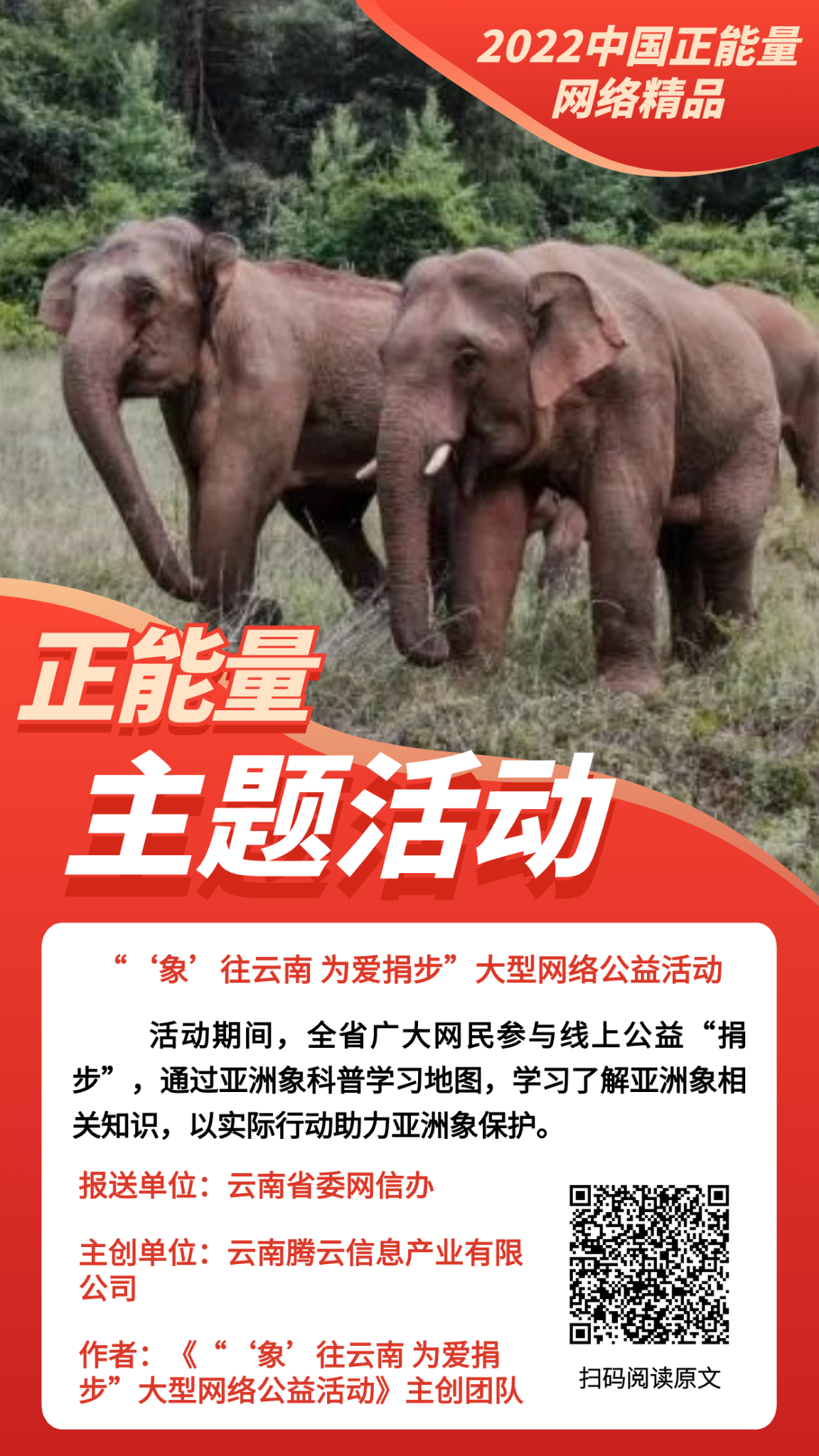 “‘象’往云南 為愛捐步”大型網(wǎng)絡(luò)公益活動(dòng)
